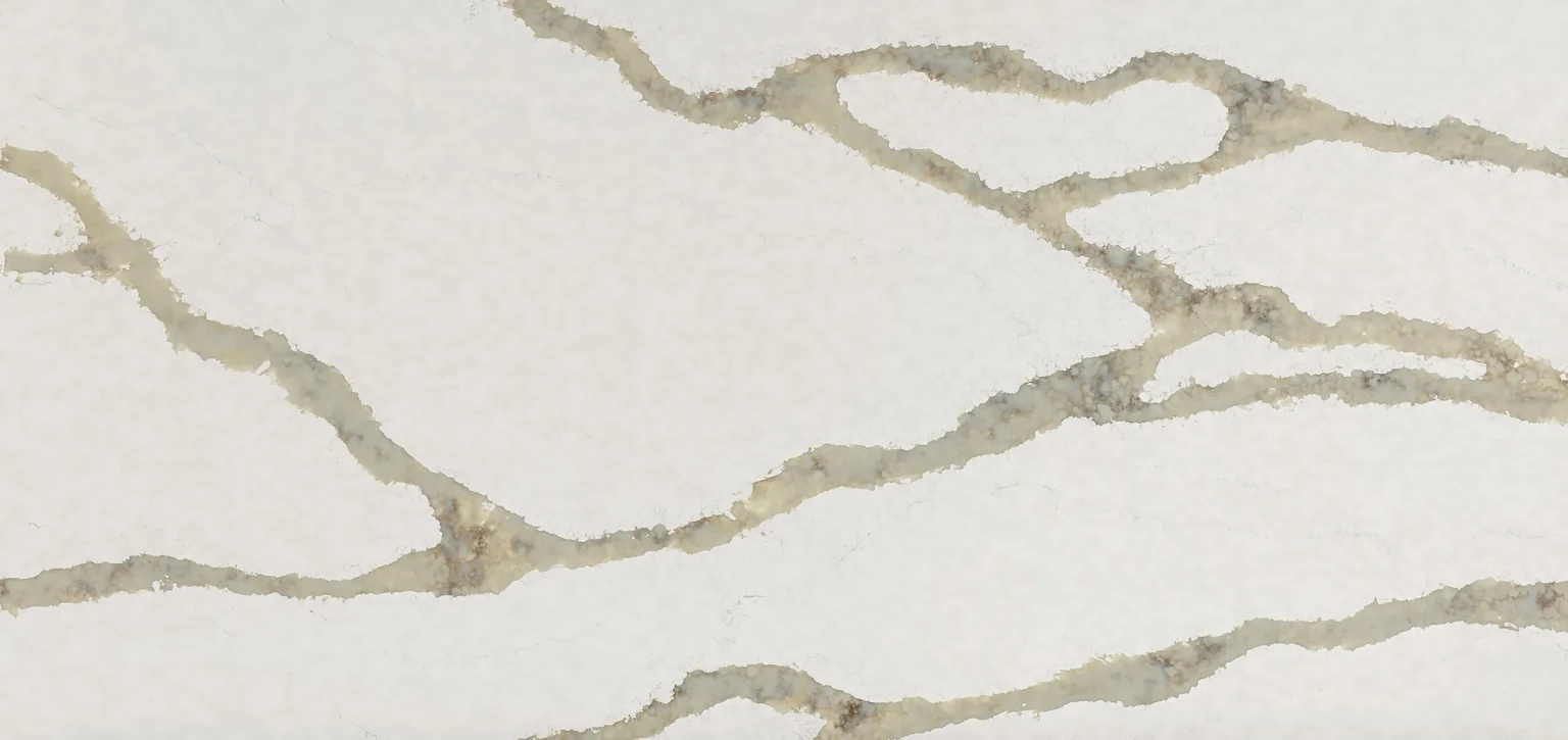 Calacatta, broad olive veins